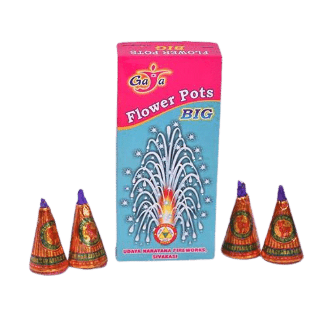 FLOWER POTS - BIG