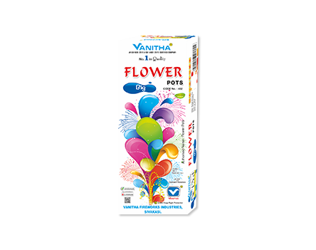 VANITHA - FLOWER POTS BIG